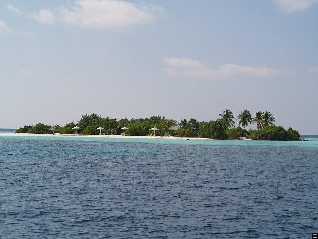 img00139.jpg